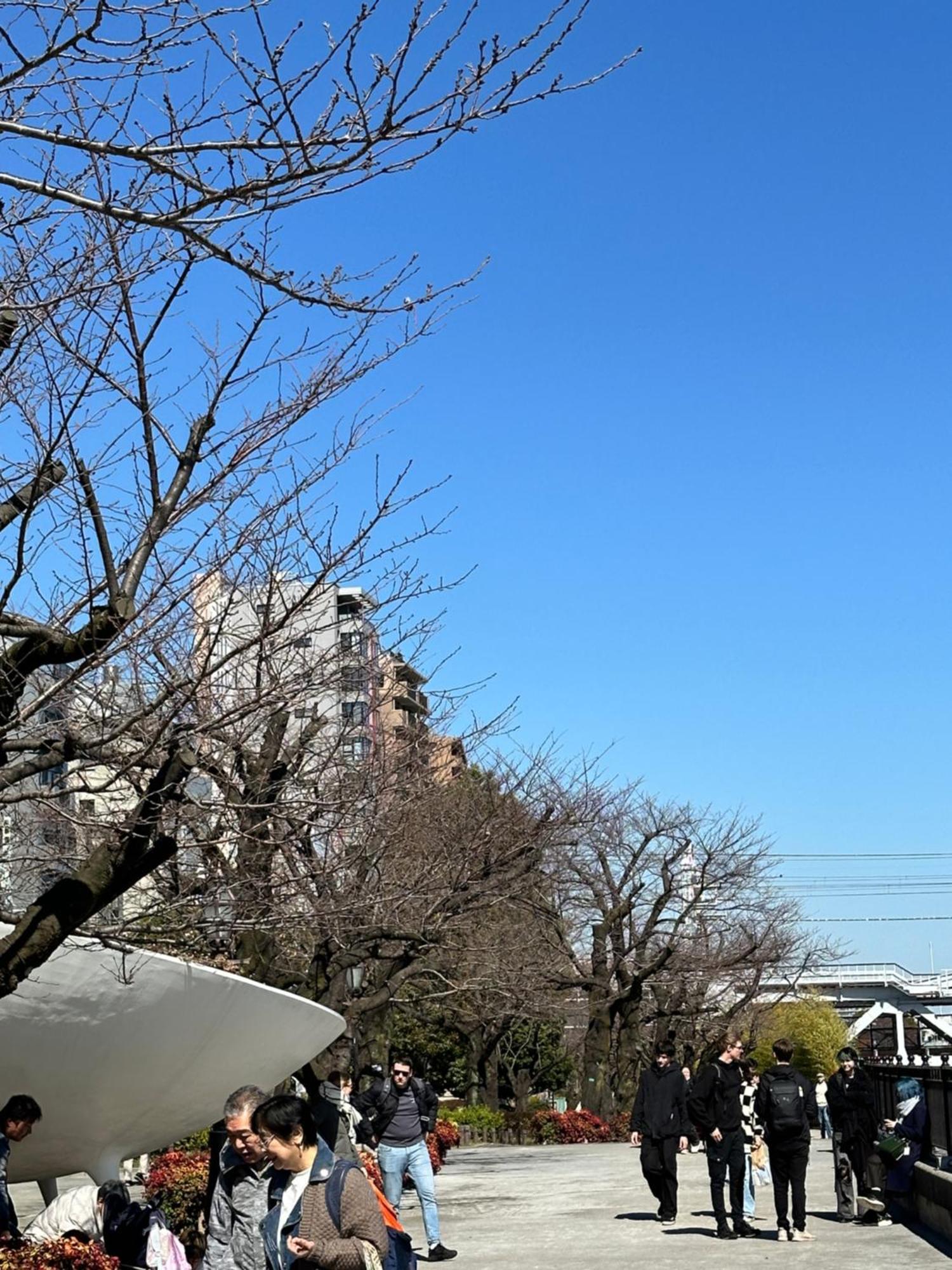 Lägenhet Relax Place Tokyo prefektur