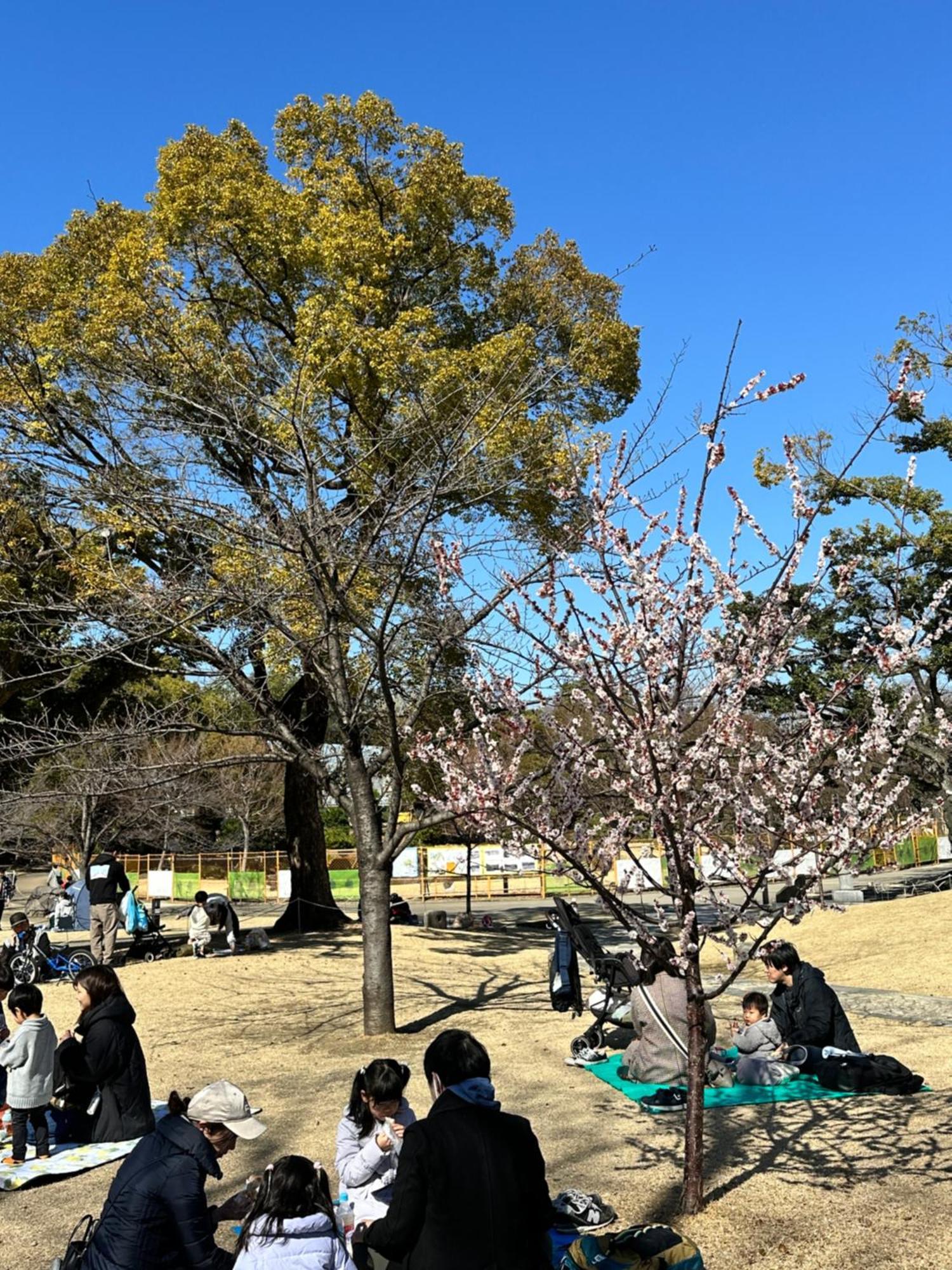 Relax Place * Tokyo prefektur